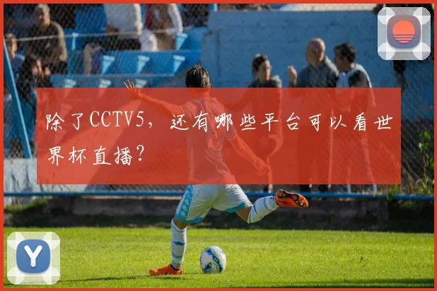除了CCTV5，还有哪些平台可以看世界杯直播？